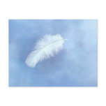 Angel's Feather Postcard