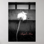 Angel's Kiss posters