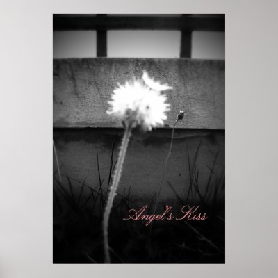 Angel's Kiss Posters by Heartworks