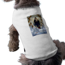 Angels madona baby christian religion clouds pet clothing