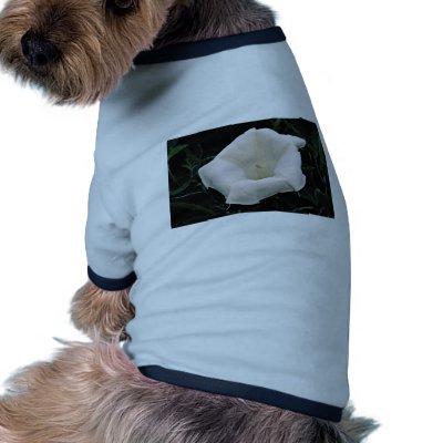 Angel's trumpet  flowers dog tee shirt by blueyellowtube