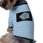 Angel's trumpet  flowers pet clothing