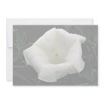 Angel's trumpet custom invite