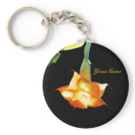 Angel's Trumpet