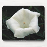 Angel's trumpet mouse pads