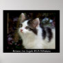 Angels With Whiskers (kitten) Fine Art Print