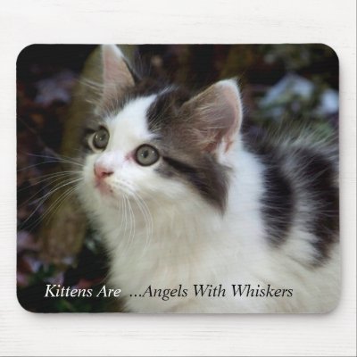 Angels With Whiskers (kitten) Mousepad by jaisjewels