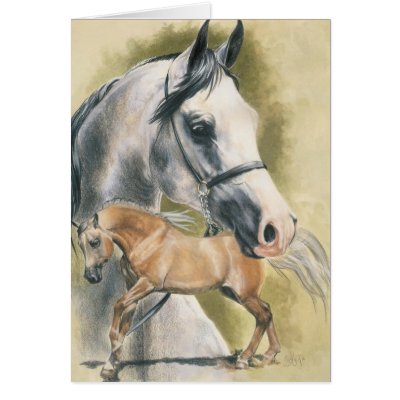 Anglo-Arabian by BarbBarcikKeith