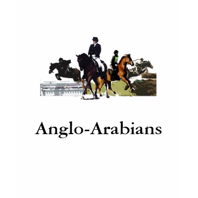 Anglo-Arabians Women's Shirt by PEGASUS44