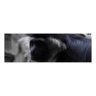 Angolan Black and White Colobus Monkey by JayAtZazzle