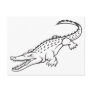 Angry American Crocodile