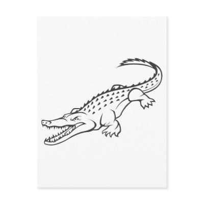 Angry American Crocodile by graphicdesigner