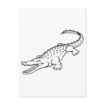 Angry American Crocodile postcards
