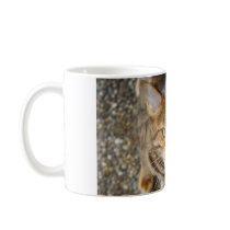 Angry Bengal Cat Mug