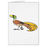 Angry Bird of Paradise