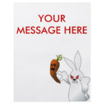 Angry Bunny flyers