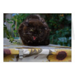 Angry Cat Greeting Card