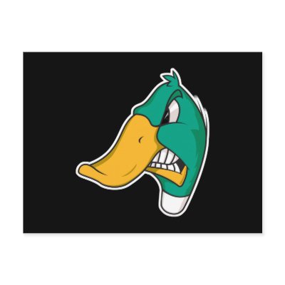 angry duck postcards by doonidesignsanimals