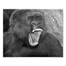 Angry Primate "Patrick" Photographic Print