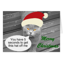 Angry Santa Cat Card