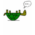 Angry Turtle t-shirts