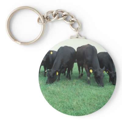 Angus cattle keychain by GPArkive