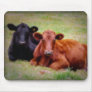 Angus Love - Pair of Cattle Side by Side