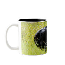 Angus Steer in Tall Yellow Grass Coffee Mug