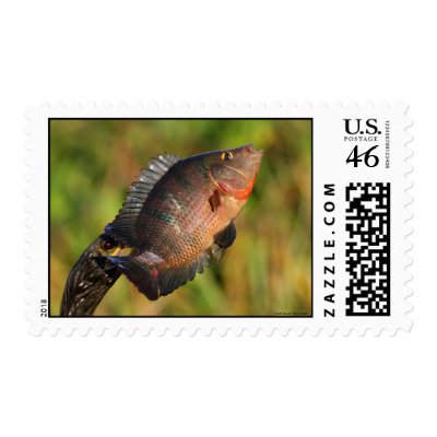 Anhinga and Fish Postage Stamps by WorldDesign