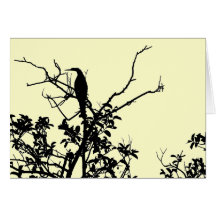 Anhinga Bird Greeting Cards