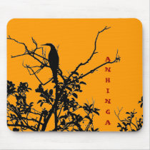 ANHINGA BIRD