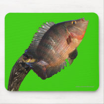 Anhinga Displaying Meal mousepads