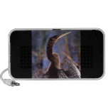 anhinga mp3 speaker