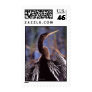 Anhinga Postage