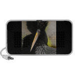 anhinga speakers