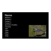 Anhinga Takeoff Business Card Templates