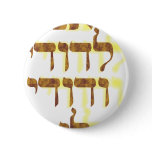 Ani Le'dodi Ve'Dodi Li Pins