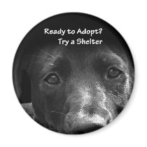 Animal adoption magnet