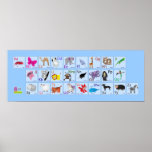 Animal Alphabets on blue