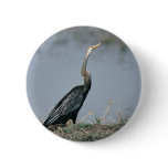Animal-Anhinga buttons