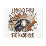 Animal Art Goat Picture Angora Goat