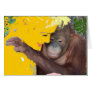 Animal Babies Love Bedtime Stories