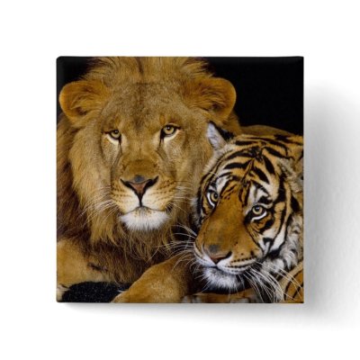 AnImAl Pin by River_Phoenix
