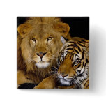 AnImAl buttons
