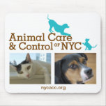 Animal Care & Control Mousepad