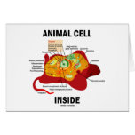 Animal Cell Inside (Eukaryote Cell Biology) Greeting Cards