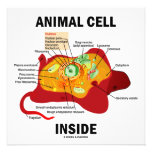 Animal Cell Inside (Eukaryote Cell Biology) Personalized Announcement