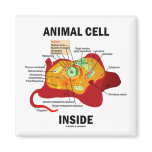 Animal Cell Inside (Eukaryote Cell Biology)