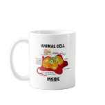 Animal Cell Inside (Eukaryote Cell Biology) Coffee Mugs