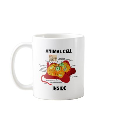 Animal Cell Inside (Eukaryote Cell Biology) Coffee Mugs by wordsunwords